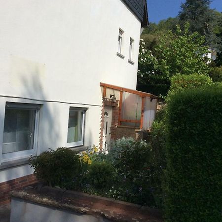 Wenzel Apartment Roxheim Bagian luar foto