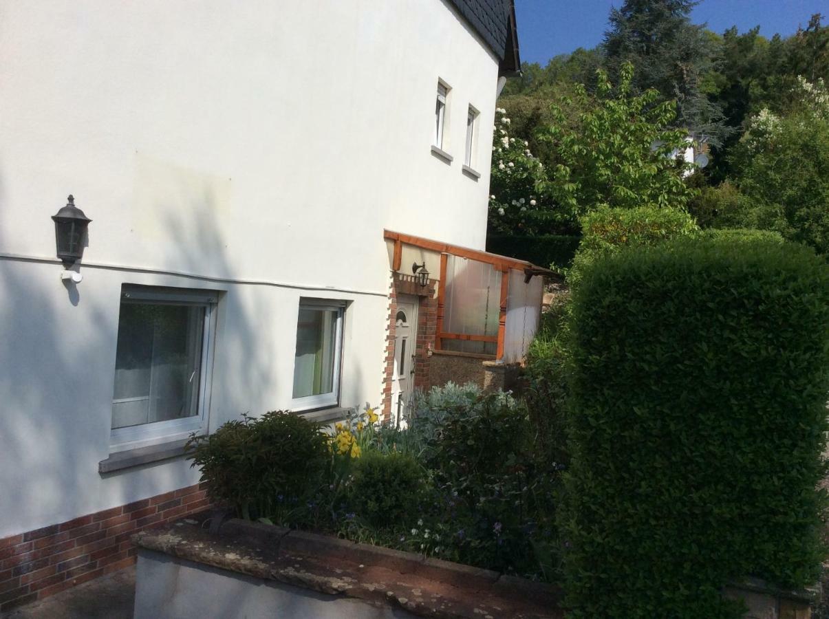 Wenzel Apartment Roxheim Bagian luar foto
