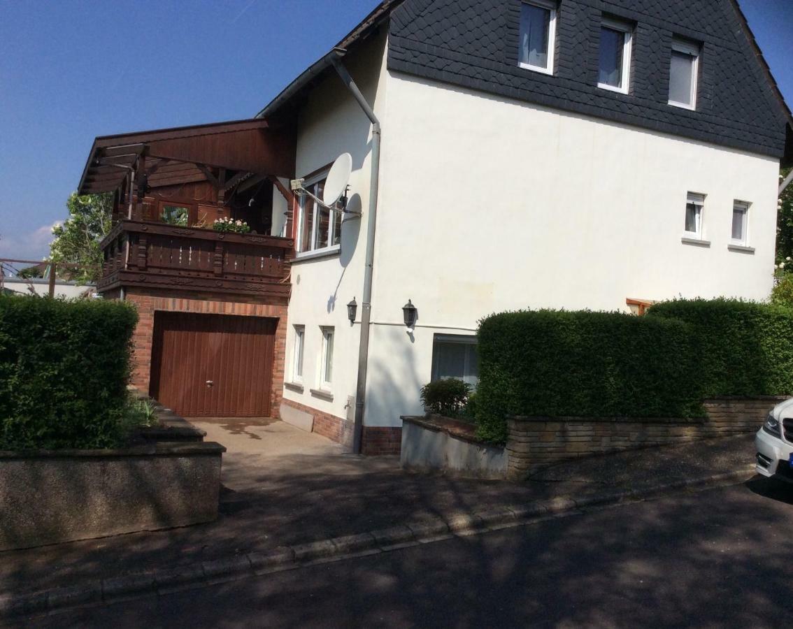 Wenzel Apartment Roxheim Bagian luar foto